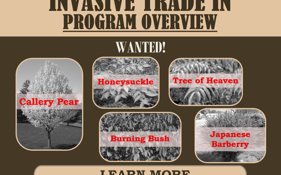 Invasive Plant Replacement Program